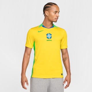Brazilië 2025 Stadium Thuis (vrouwenelftal) Nike Dri-FIT replicavoetbalshirt voor heren - Geel