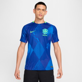 Brazilië 2025 Stadium Uit (vrouwenelftal) Nike Dri-FIT replicavoetbalshirt voor heren - Blauw