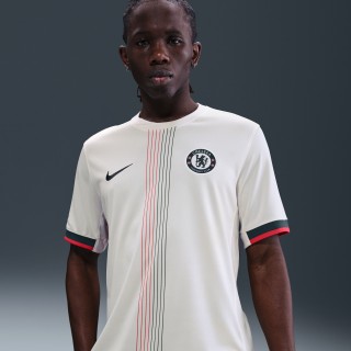 Chelsea FC 2025/26 Stadium Uit Nike Dri-FIT replicavoetbalshirt voor heren - Grijs