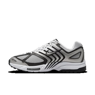 Nike Air Pegasus 2005 herenschoenen - Grijs