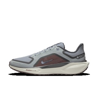Nike Pegasus 41 GORE-TEX waterdichte hardloopschoenen voor heren (straat) - Grijs