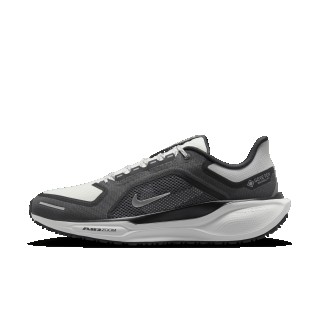 Nike Pegasus 41 GORE-TEX waterdichte hardloopschoenen voor heren (straat) - Zwart
