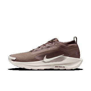 Nike Pegasus Trail 5 GORE-TEX SP waterdichte trailrunningschoenen voor heren - Bruin