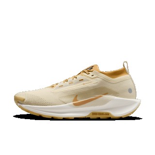 Nike Pegasus Trail 5 GORE-TEX SP waterdichte trailrunningschoenen voor heren - Bruin