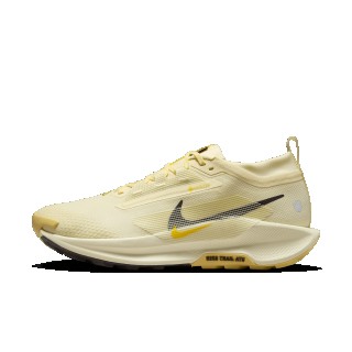 Nike Pegasus Trail 5 GORE-TEX waterdichte trailrunningschoenen voor heren - Bruin