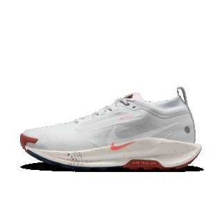Nike Pegasus Trail 5 GORE-TEX waterdichte trailrunningschoenen voor heren - Grijs