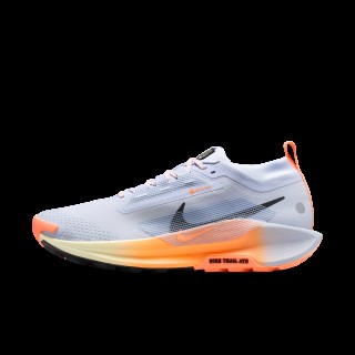 Nike Pegasus Trail 5 GORE-TEX waterdichte trailrunningschoenen voor heren - Grijs