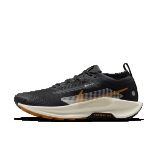 Nike Pegasus Trail 5 GORE-TEX waterdichte trailrunningschoenen voor heren - Zwart