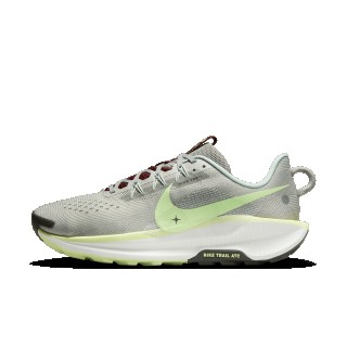 Nike Pegasus Trail 5 trailrunningschoenen voor heren - Grijs