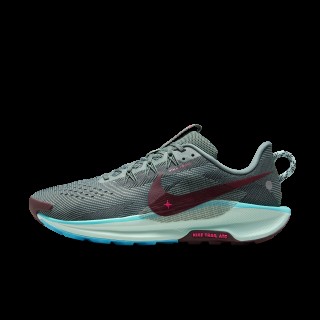 Nike Pegasus Trail 5 trailrunningschoenen voor heren - Grijs