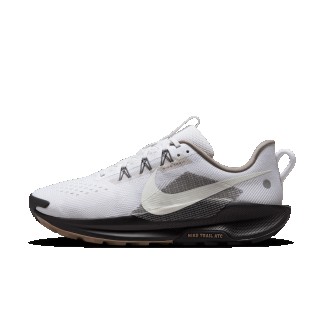 Nike Pegasus Trail 5 trailrunningschoenen voor heren - Grijs