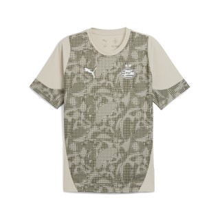 PUMA PSV Eindhoven trainingsshirt voor Heren, Groen
