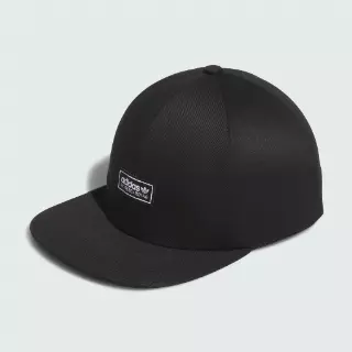 Adidas SKATEBOARDING LOWKEY 6PANEL PET