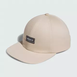 Adidas SKATEBOARDING LOWKEY 6PANEL PET