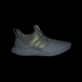 Adidas Ultraboost 1.0 Schoenen