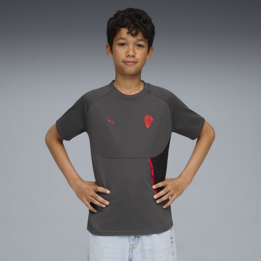 AC Milan PUMATECH T-shirt met zak, Grijs/Rood