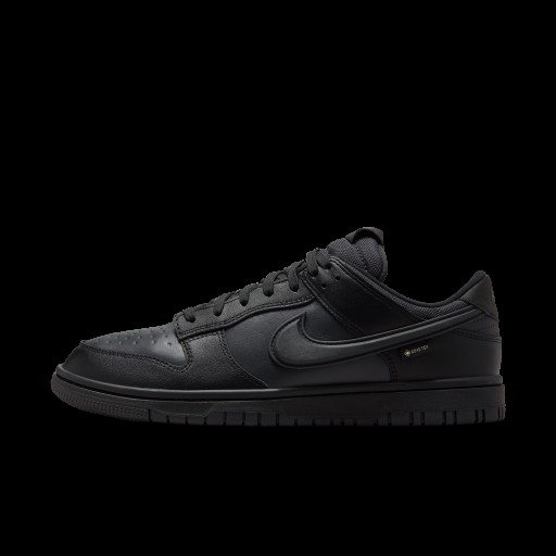 Nike Dunk Low GORE-TEX schoenen voor heren - Zwart