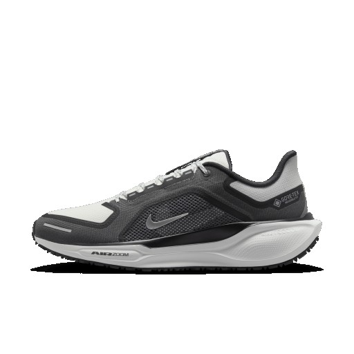 Nike Pegasus 41 GORE-TEX waterdichte hardloopschoenen voor heren (straat) - Zwart