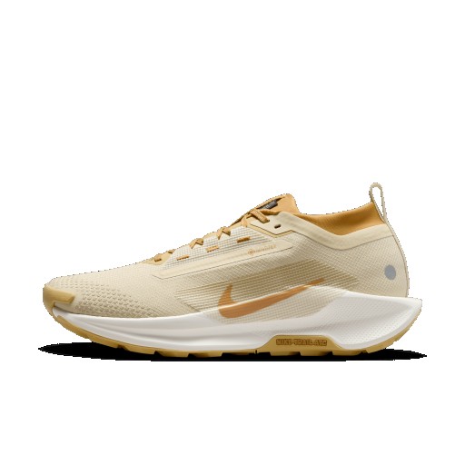 Nike Pegasus Trail 5 GORE-TEX SP waterdichte trailrunningschoenen voor heren - Bruin