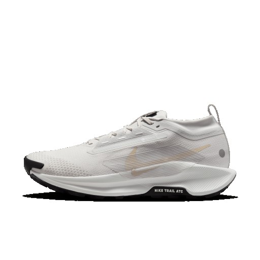 Nike Pegasus Trail 5 GORE-TEX waterdichte trailrunningschoenen voor heren - Grijs
