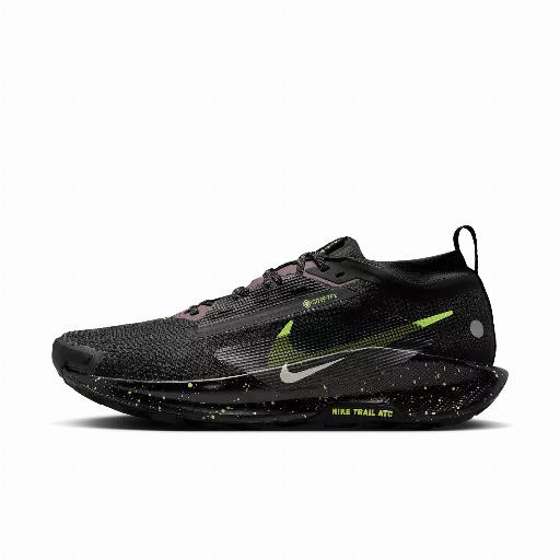 Nike Pegasus Trail 5 GORE-TEX waterdichte trailrunningschoenen voor heren - Zwart