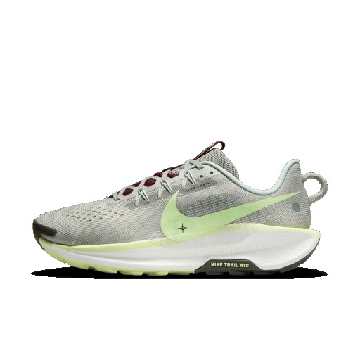 Nike Pegasus Trail 5 trailrunningschoenen voor heren - Grijs