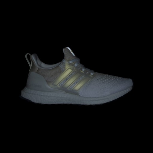 Adidas Ultraboost 1.0 Schoenen